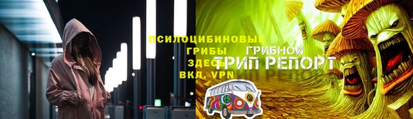 прущие грибы Верея