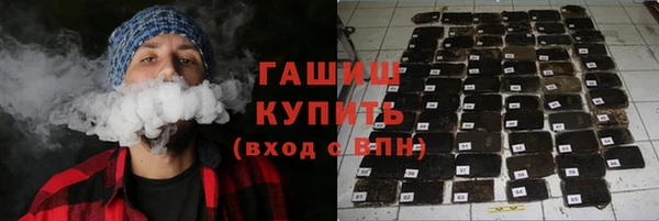 прущие грибы Верея