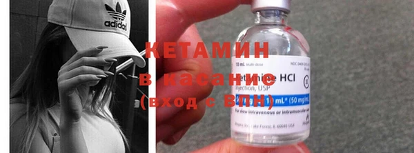 прущие грибы Верея