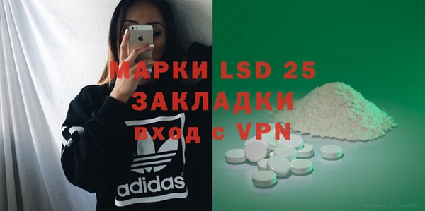 прущие грибы Верея