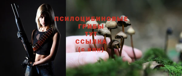 прущие грибы Верея