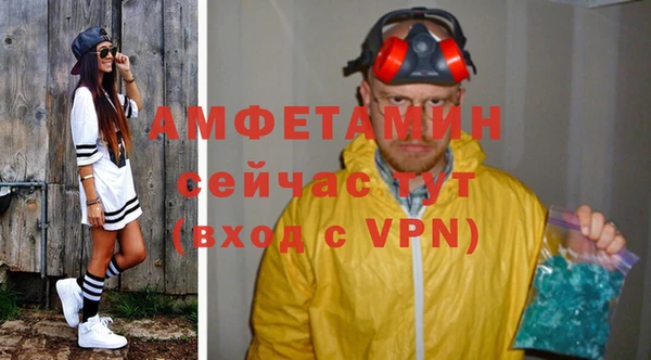 прущие грибы Верея