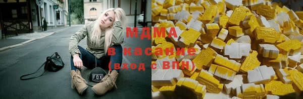 прущие грибы Верея