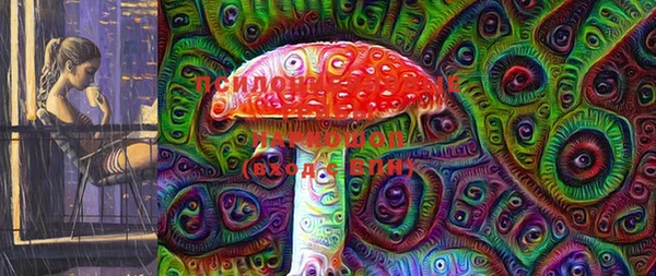 прущие грибы Верея