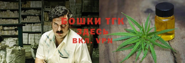 прущие грибы Верея