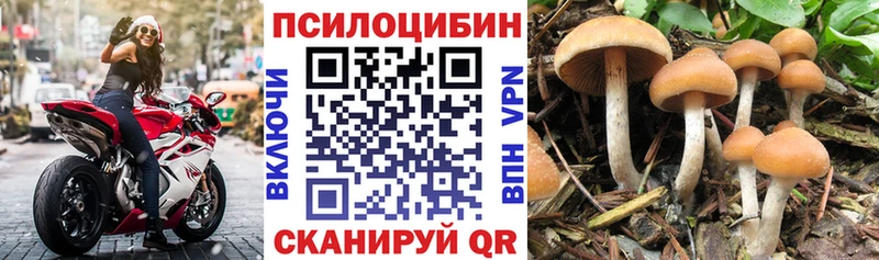 Псилоцибиновые грибы мухоморы  KRAKEN вход  Воскресенск 